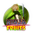Ninja-Fruits - PlaynGo